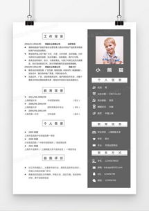 市场营销策划 万能模板工具书在熊猫办公下的实践应用
